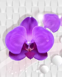 Abstraktní tapety Tapeta orchidej na abstraktním pozadí