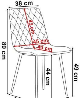 Židle TZB Čalouněná židle DEXTER samet černá