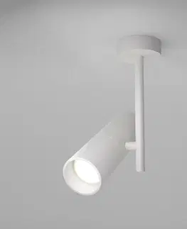 Moderní stropní svítidla MAYTONI Stropní svítidlo Elti C020CL-01W