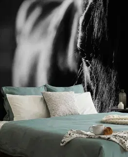 Černobílé tapety Fototapeta majestátní černobílý kůň