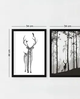 Obrazy Wallity Sada obrazů Deer 2 ks 34x44 cm černá/bílá