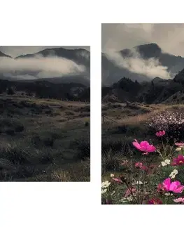 Obrazy přírody a krajiny 5-dílný obraz louka kvetoucích květin