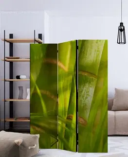 Paravány Paraván Bamboo - nature zen Dekorhome 225x172 cm (5-dílný)