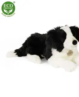 Hračky RAPPA - Plyšový pes border kolie ležící 45 cm ECO-FRIENDLY