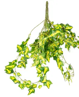 Květiny Umělý Břečťan závěsná dekorativní umělá rostlina, v. 50 cm