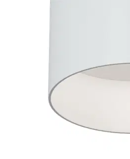 Moderní stropní svítidla MAYTONI stropní svítidlo Alfa C014CL-01W
