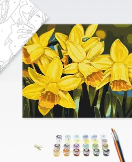 Květy Malování podle čísel květiny narcisů