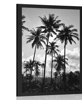 Černobílé Plakát kokosové palmy na pláži v černobílém provedení