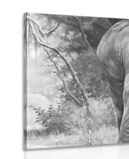 Černobílé obrazy Obraz sloní rodinka v černobílém provedení