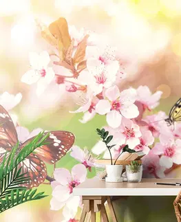 Samolepící tapety Samolepící tapeta jarní květiny s exotickými motýly