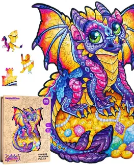 Hračky puzzle PUZZLER - Dřevěné barevné puzzle - Začarovaný drak
