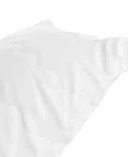 Polštáře Polštář AmeliaHome Reve 15 x 40 cm bílý, velikost 15x40