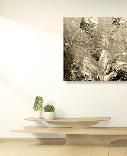 Černobílé obrazy Obraz moderní malované pivoňky v sépiovém provedení