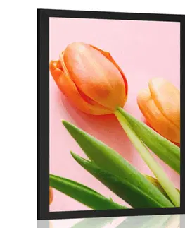 Květiny Plakát tulipán