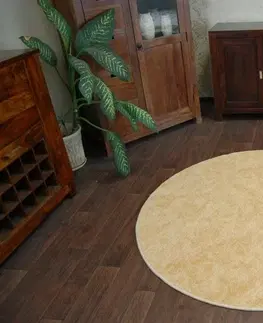 Koberce a koberečky Dywany Lusczow Kulatý koberec SERENADE Graib zlatý, velikost kruh 133