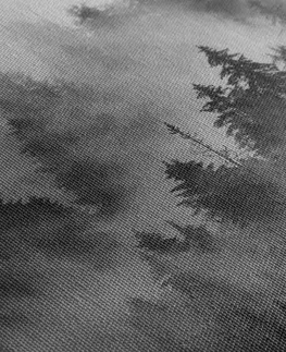 Černobílé obrazy Obraz hory v mlze v černobílém provedení
