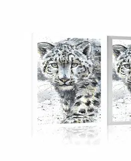 Zvířata Plakát kreslený leopard