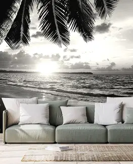Černobílé tapety Fototapeta černobílá karibská pláž