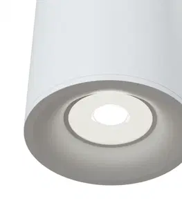 Moderní stropní svítidla MAYTONI stropní svítidlo Alfa C012CL-01W