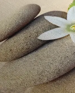 Obrazy Feng Shui Obraz bílý květ a kameny v písku