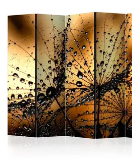 Paravány Paraván Dandelions in the Rain Dekorhome 225x172 cm (5-dílný)