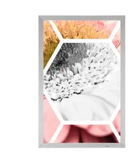 Květiny Plakát gerbera v šestiúhelníku