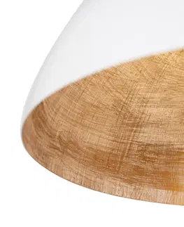 Zavesna svitidla Industriální závěsná lampa bílá se zlatem 50 cm - Magna Eco