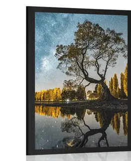 Příroda Plakát strom pod hvězdnou oblohou