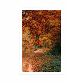 Příroda Plakát krásný les v podzimním období