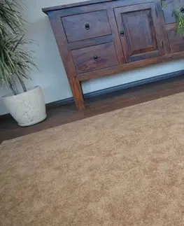 Koberce a koberečky Dywany Lusczow Kusový koberec SERENADE Hagy světle hnědý, velikost 100x150