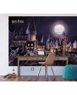 Tapety Dětská fototapeta Harry Potter Hogwarts Moon 252 x 182 cm, 4 díly