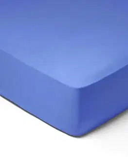 Prostěradla Forbyt, Prostěradlo, Jersey, světle modrá 200 x 200 cm