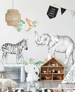Samolepky na zeď Dětské samolepky na zeď - Slon a zebra ze safari