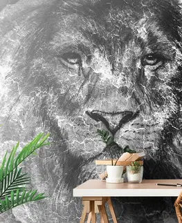 Samolepící tapety Samolepící tapeta tvář lva v černobílém provedení