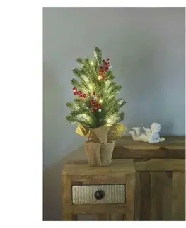 LED osvětlení na baterie EMOS LED vánoční stromek zasněžený, 52 cm, 3x AA, vnitřní, teplá bílá, časovač DCTW04