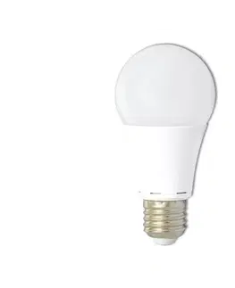 Žárovky  LED žárovka -E27- 10W denní bílá