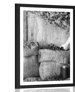 Černobílé Plakát s paspartou léčivé bylinky v černobílém provedení
