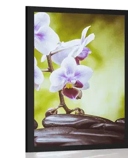 Feng Shui Plakát zen kameny a orchidej