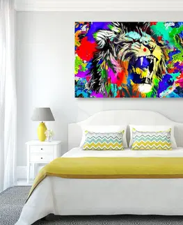 Pop art obrazy Obraz barevná lví hlava
