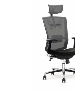 Kancelářské židle Kancelářské křeslo OMODAKA, černo-šedá