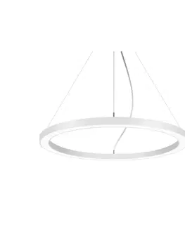 Závěsná světla BRUMBERG BRUMBERG Biro Circle Ring5 direct Ø 60 cm DALI, bílá