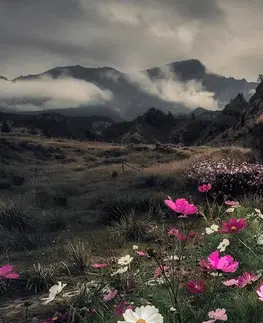 Obrazy přírody a krajiny Obraz louka kvetoucích květin