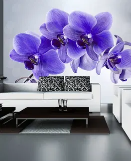 Tapety Samolepící tapeta fialová orchidej - Parting hour