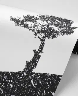 Černobílé tapety Tapeta silueta stromu
