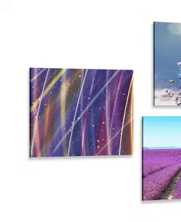 Sestavy obrazů Set obrazů levandulové pole s abstrakcí