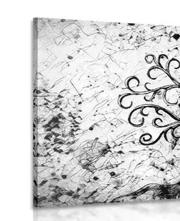 Černobílé obrazy Obraz symbol stromu života v černobílém provedení
