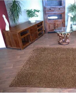 Koberce a koberečky Dywany Lusczow Kusový koberec SHAGGY Izebelie 5cm hnědý, velikost 400x600