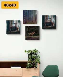 Sestavy obrazů Set obrazů kouzlo lesních zvířat