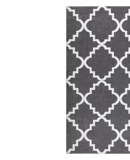 Koberce a koberečky Dywany Lusczow Kusový koberec SKETCH Danny šedý /bílý trellis, velikost 280x370