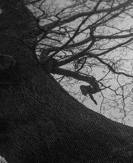 Černobílé obrazy Obraz symbióza stromů v černobílém provedení